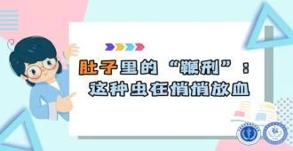 鞭虫病：肚子里的“鞭刑” 这种虫在悄悄放血