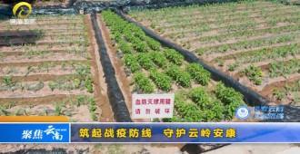 云南省血吸虫病防治专题片