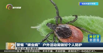 云南广播电视台：警惕“蜱虫病” 户外活动需做好个人防护