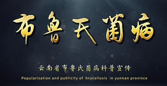 布病可防可控！5招做好科学防护