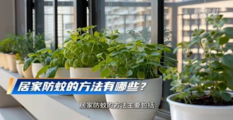 新华社：警惕蚊媒传染病 科学防护很重要
