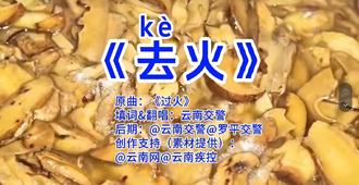 云南野生菌食用安全提示