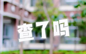 查了吗