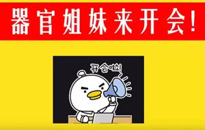 快快快，器官姐妹来开会