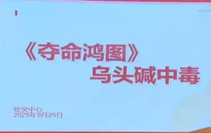 夺命鸿图