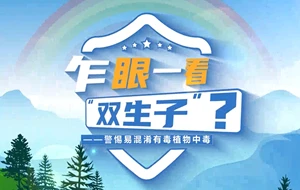 乍眼一看“双生子”？警惕易混淆植物中毒